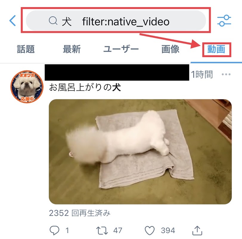 Twitterにて動画のみ検索する手順