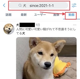 Twitterにて動画のみ検索する手順